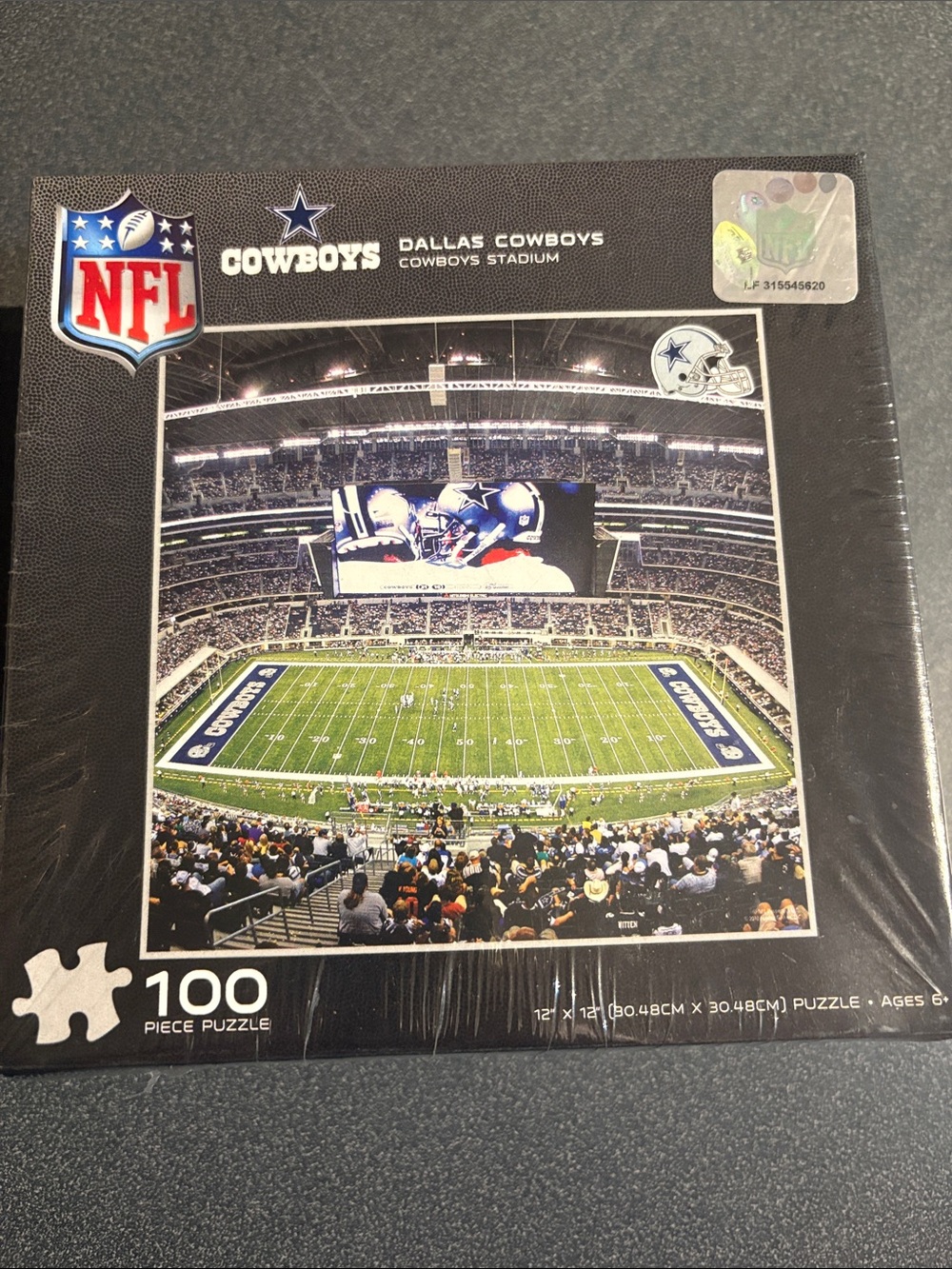 NFL Dallas Cowboys Stadium Jigsaw Puzzle - Blue & White
